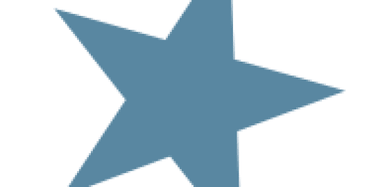 msapplication-wide310x150logo